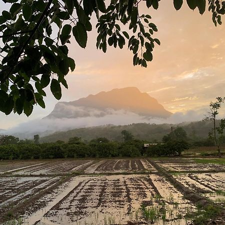Krathom Doi Luang Hotel Chiang Dao Luaran gambar
