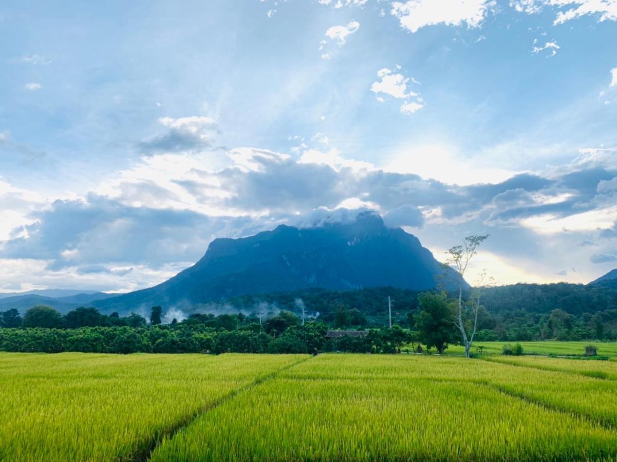 Krathom Doi Luang Hotel Chiang Dao Luaran gambar
