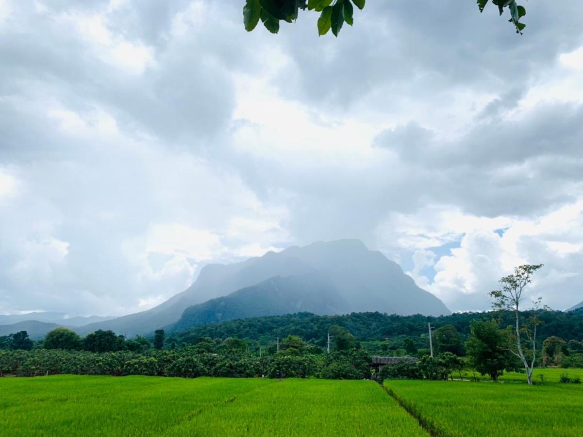 Krathom Doi Luang Hotel Chiang Dao Luaran gambar