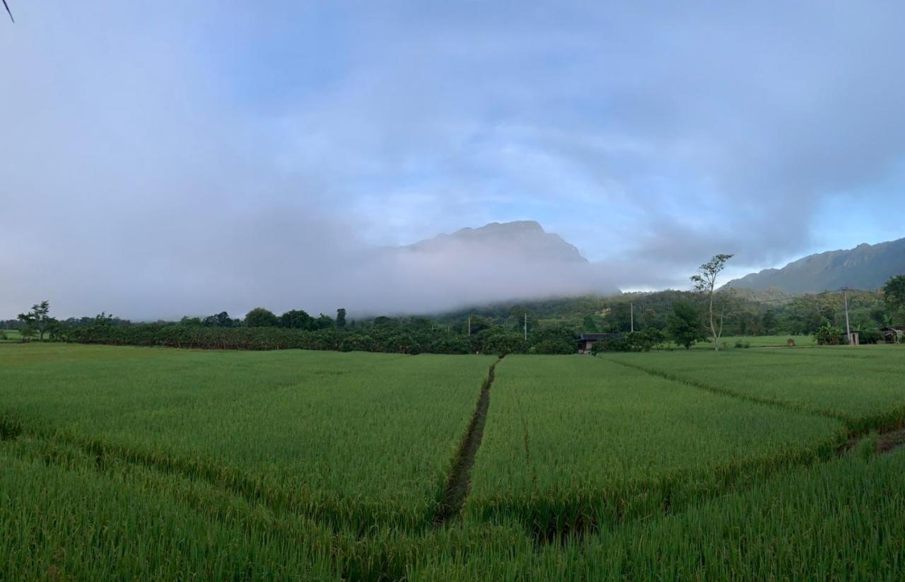 Krathom Doi Luang Hotel Chiang Dao Luaran gambar