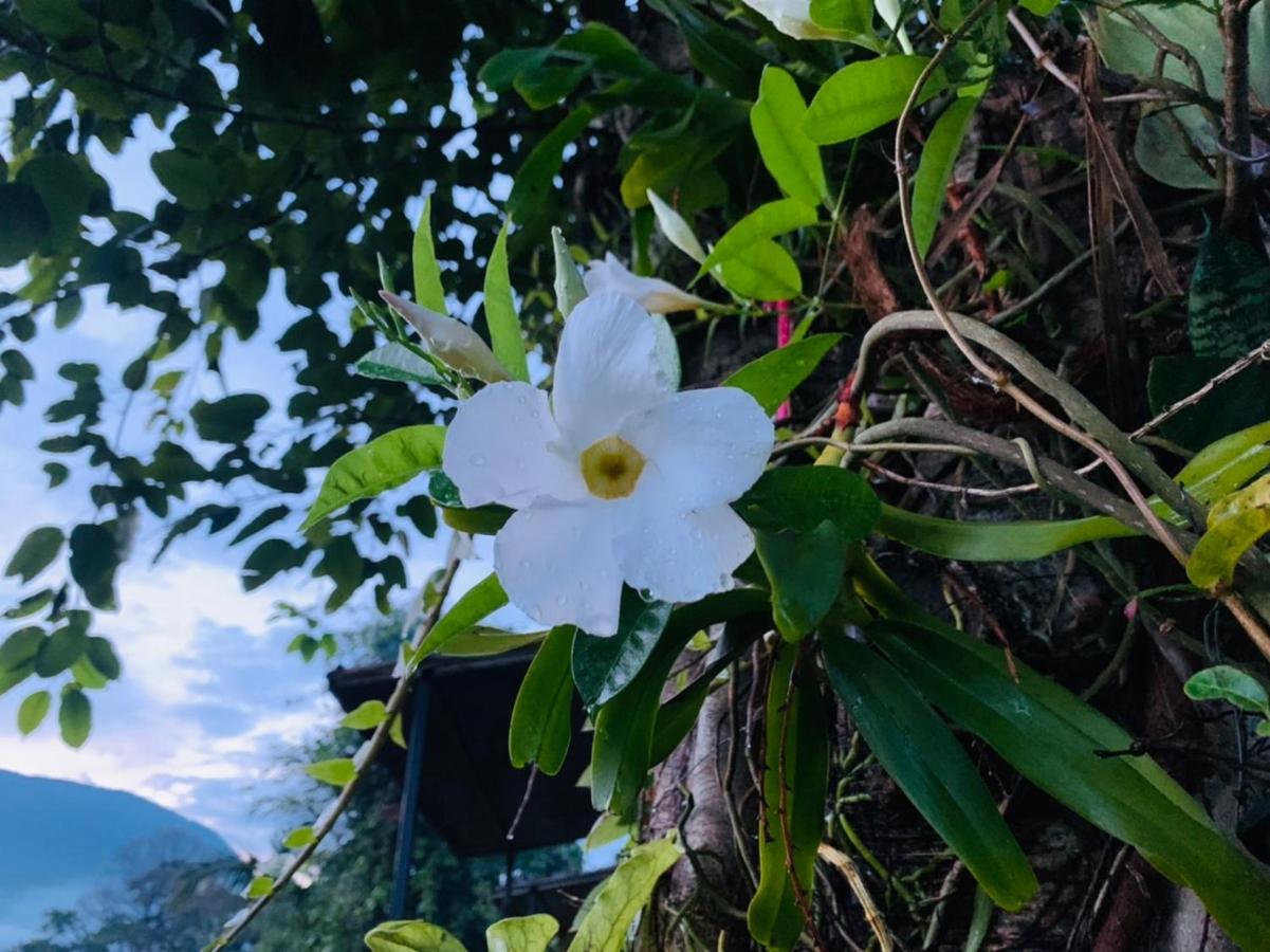 Krathom Doi Luang Hotel Chiang Dao Luaran gambar