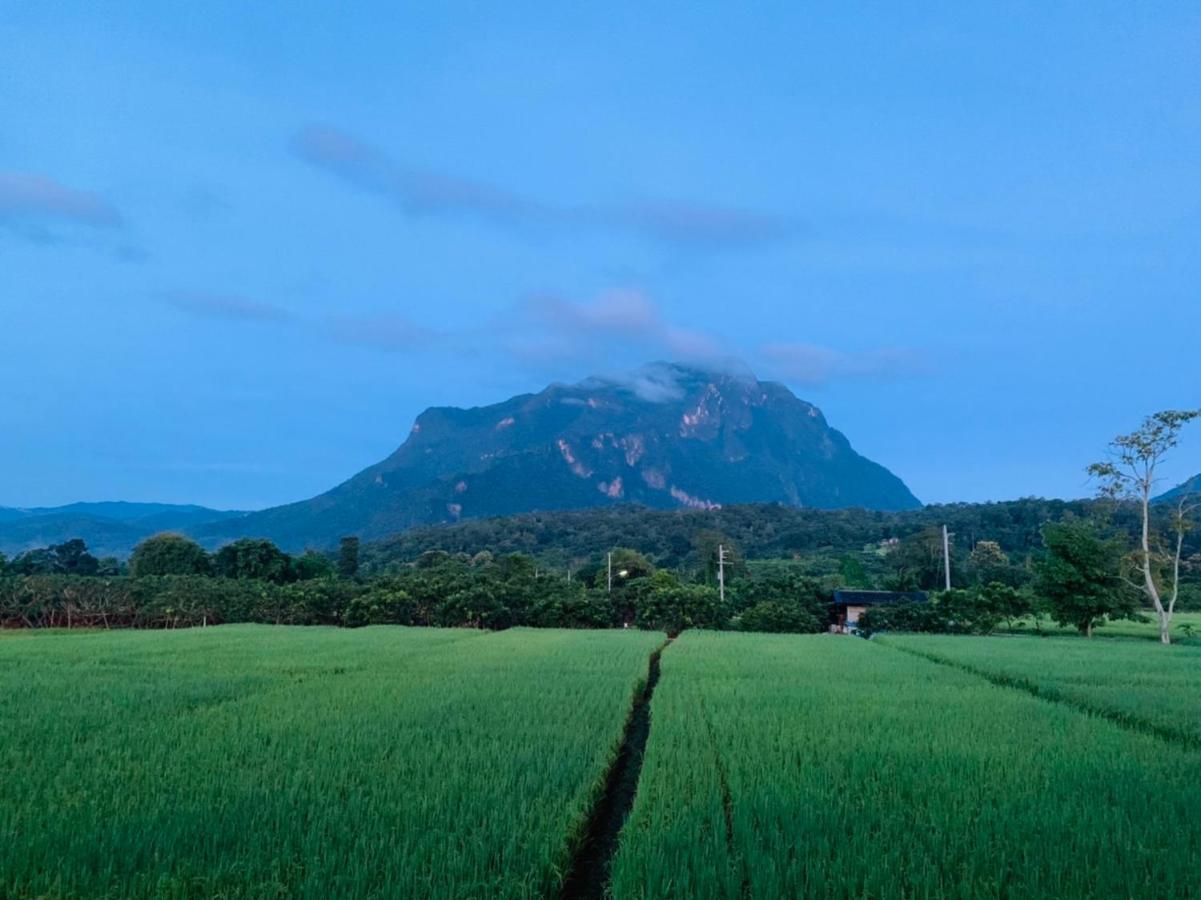 Krathom Doi Luang Hotel Chiang Dao Luaran gambar