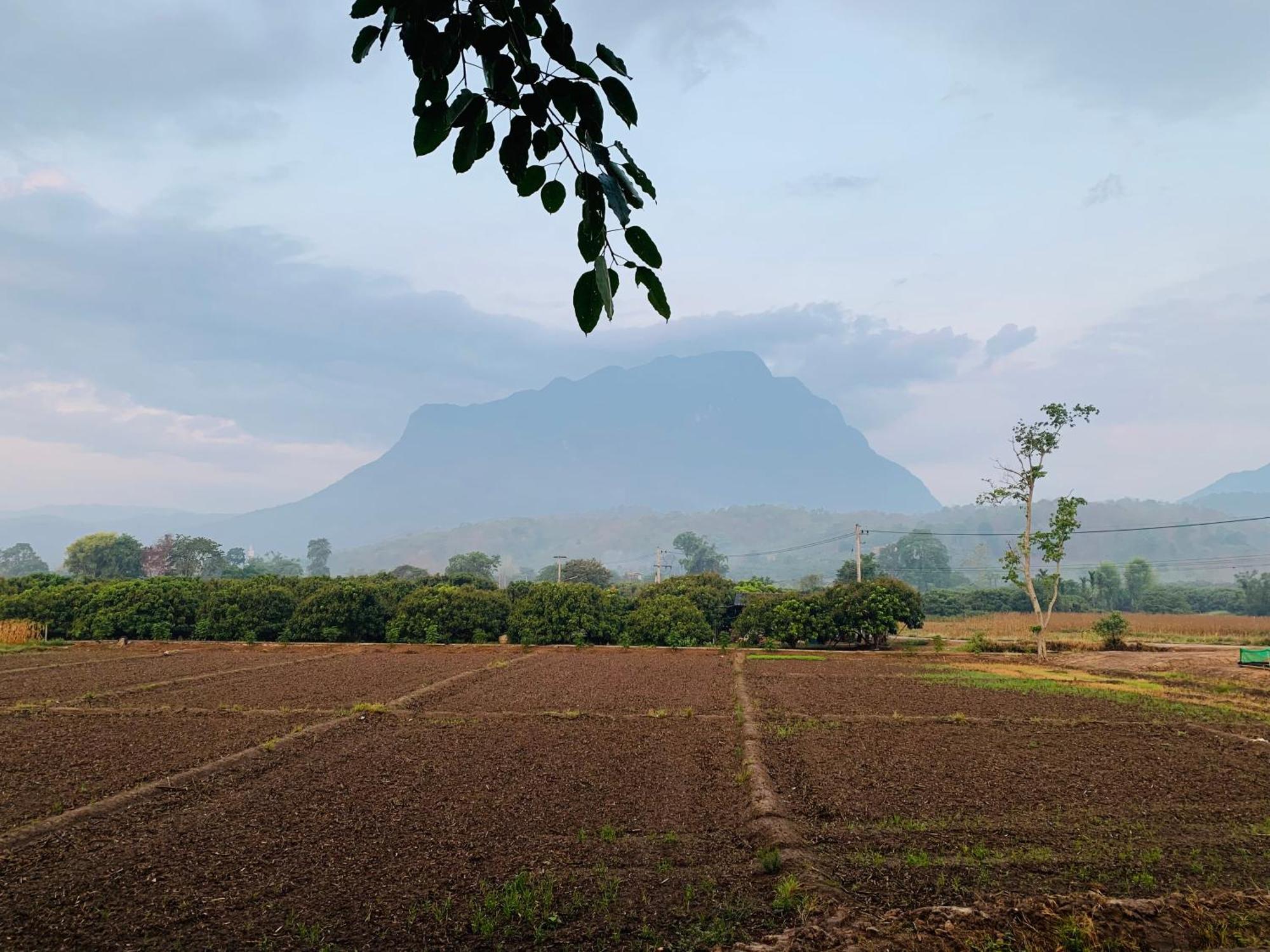 Krathom Doi Luang Hotel Chiang Dao Luaran gambar