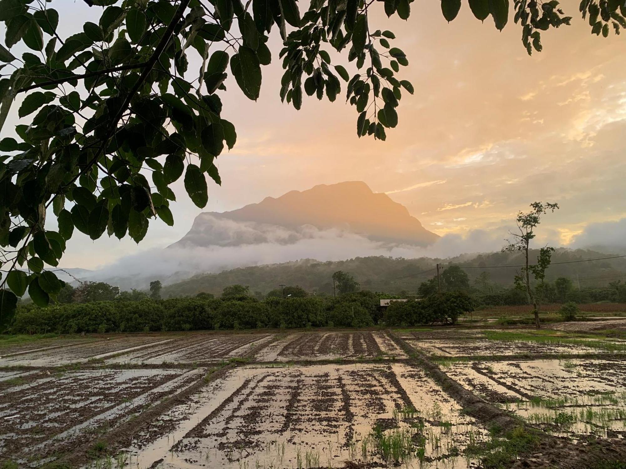 Krathom Doi Luang Hotel Chiang Dao Luaran gambar